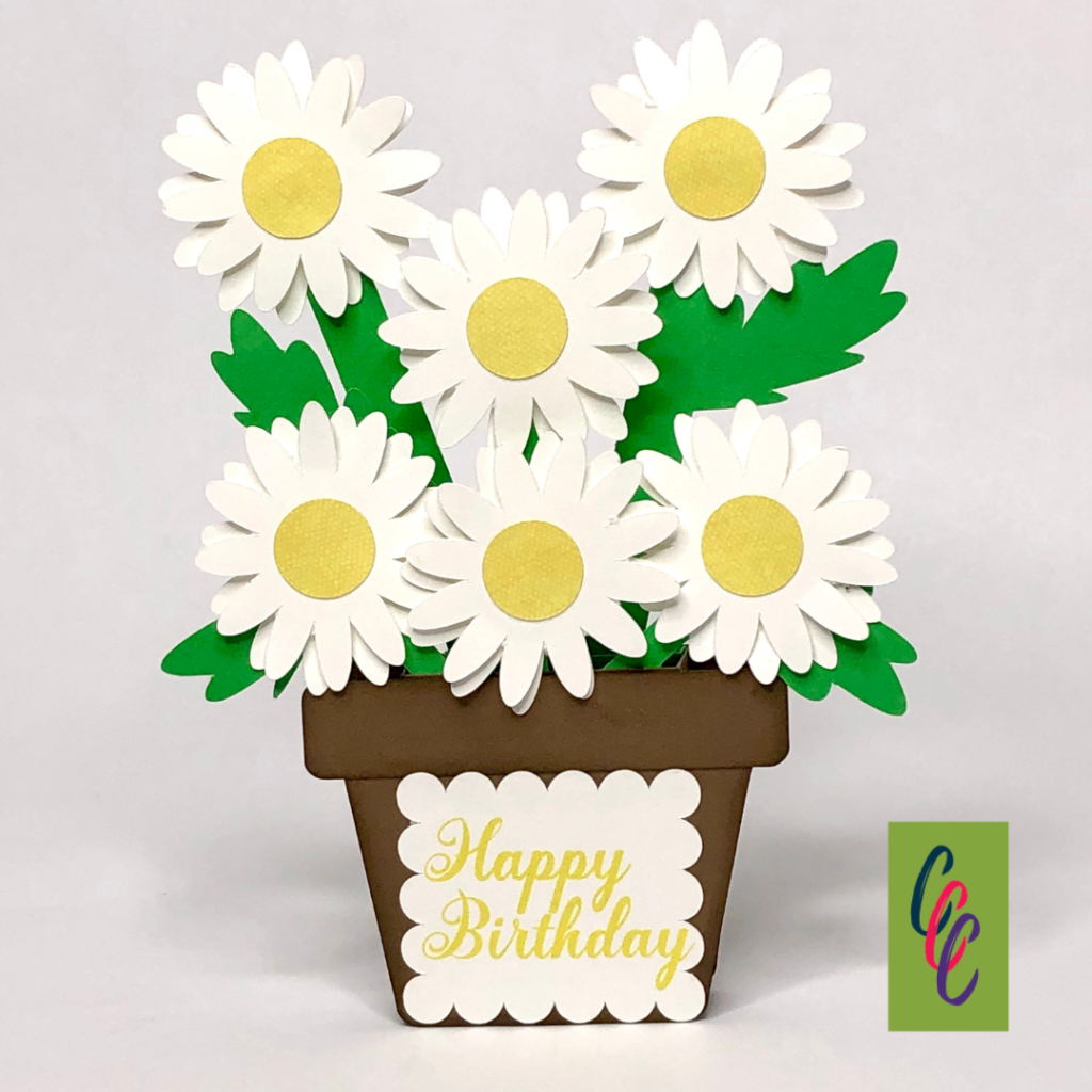 daisy box card