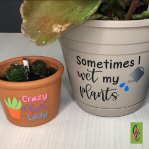 customized flower pots for Mother's Day - sometimes i wet my plants and crazy plant lady sayings on the pots.